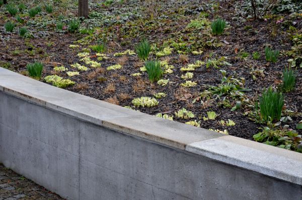 Concrete Wall Construction in Elgin