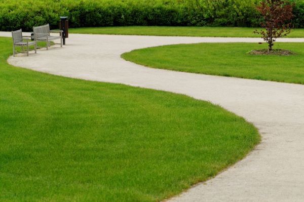 Sidewalk Concrete Service in Elgin