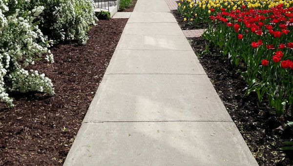 Cement Sidewalk Installation in Elgin