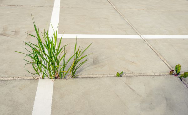 Concrete Parking Installation in Elgin