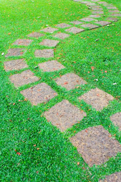 Backyard Pathway Construction in Elgin